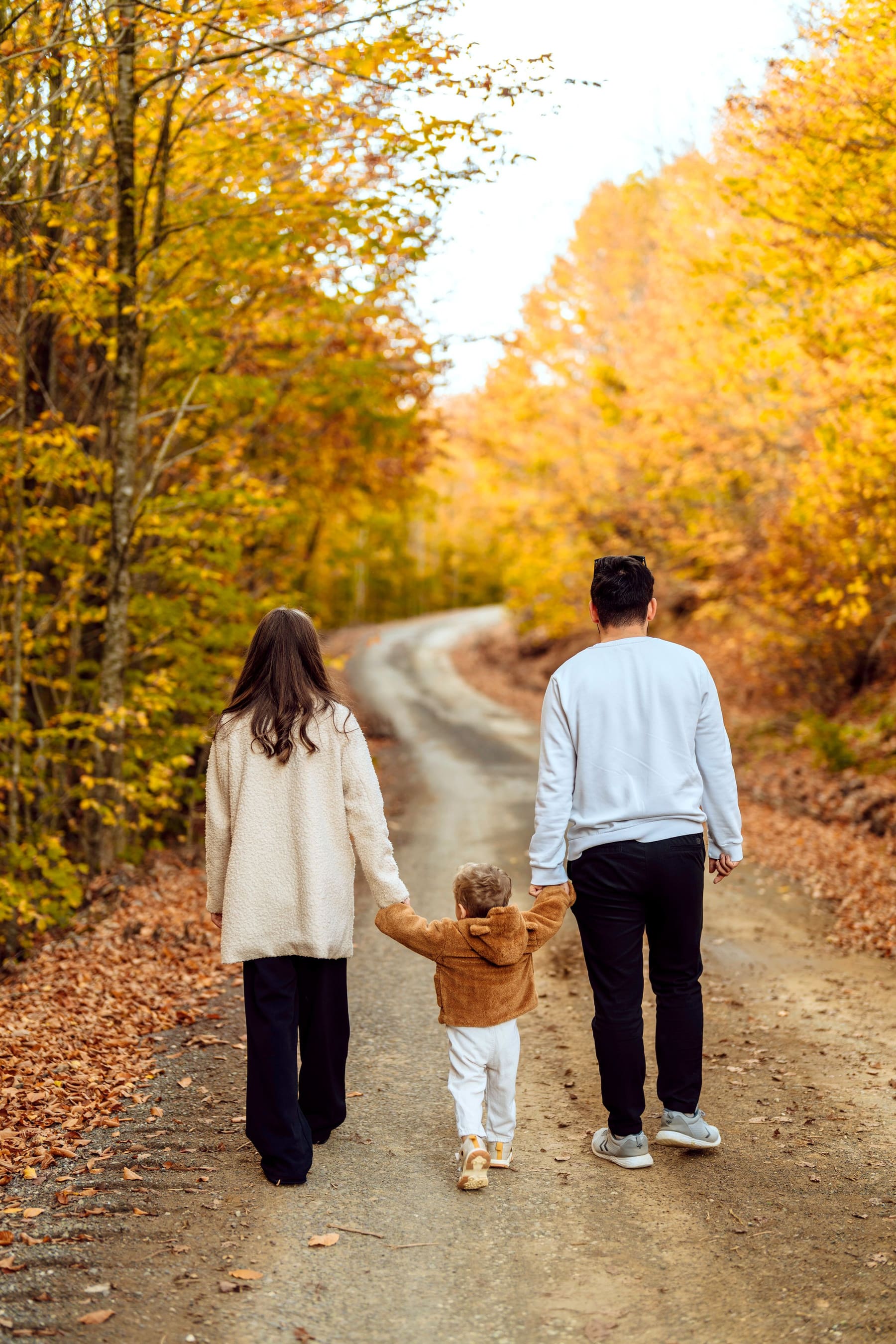 A family walking hand in hand along an autumn forest path
